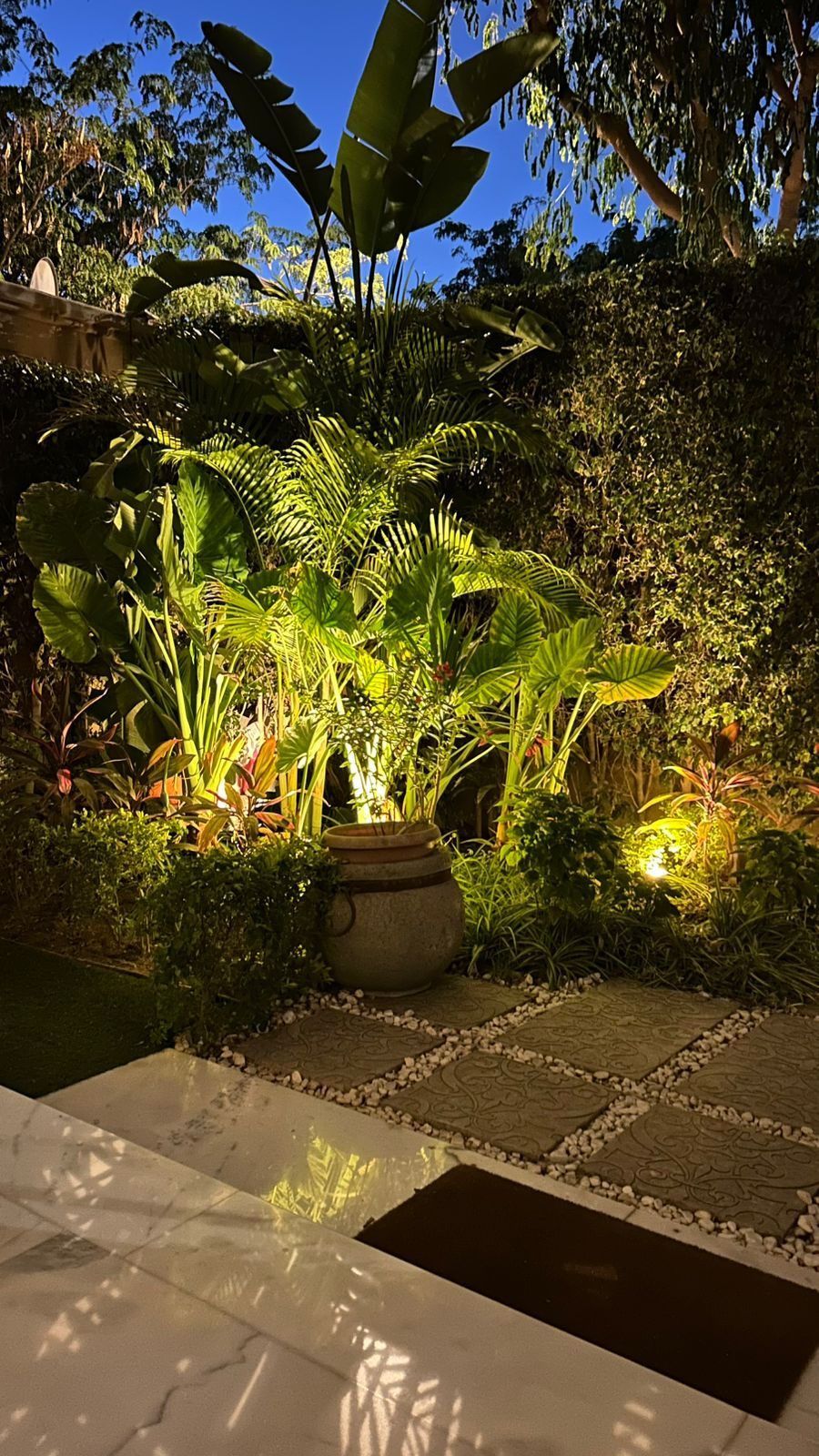 Tropical planting and stone paving lit at night