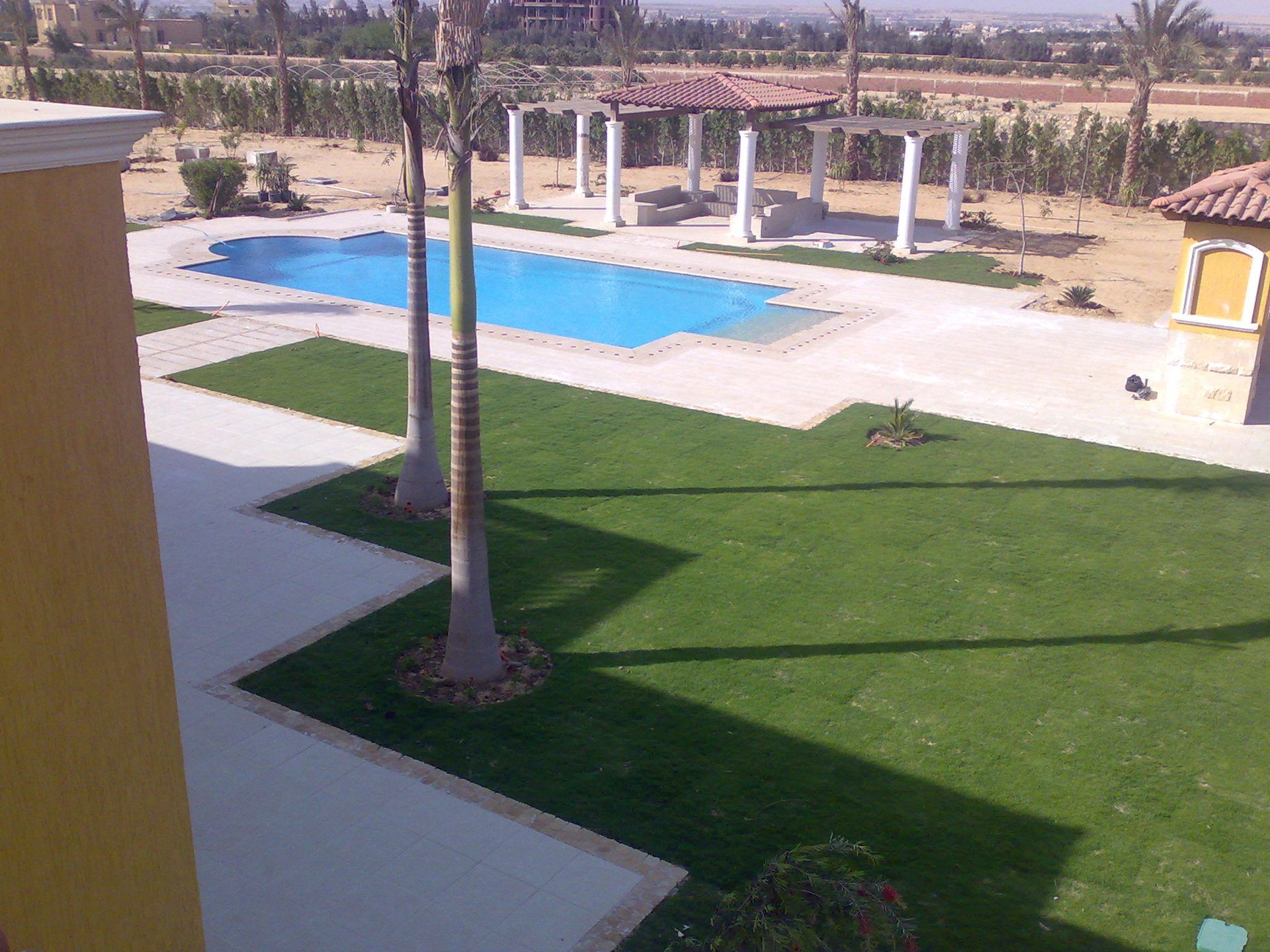 Pool, lawn and palm trees seen from the terrace