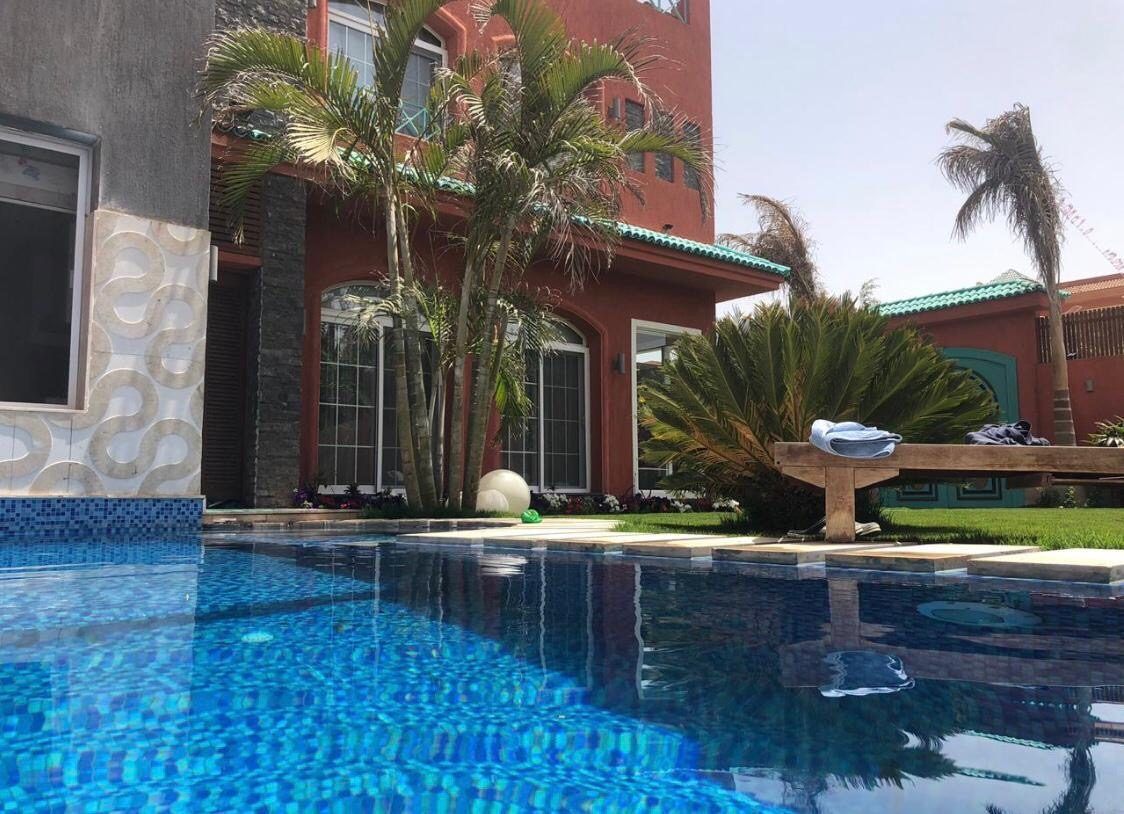 Pool and terrace beside the house with palms and sculpted wall cladding