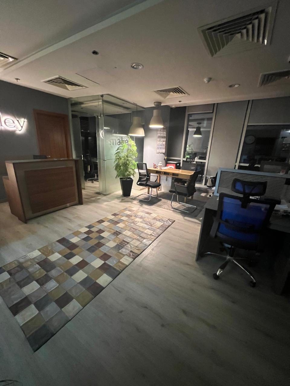 Reception and open-plan workstations with patterned rug and glass partitions